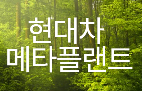 현대차 메타플랜트