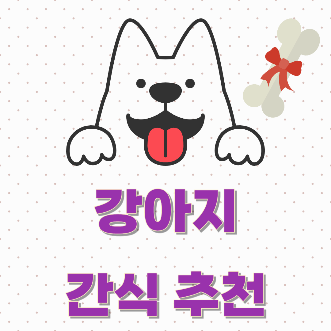 반려동물 간식 추천, 어떻게 선택해야 할까?