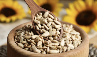 해바라기씨 (Sunflower Seeds)