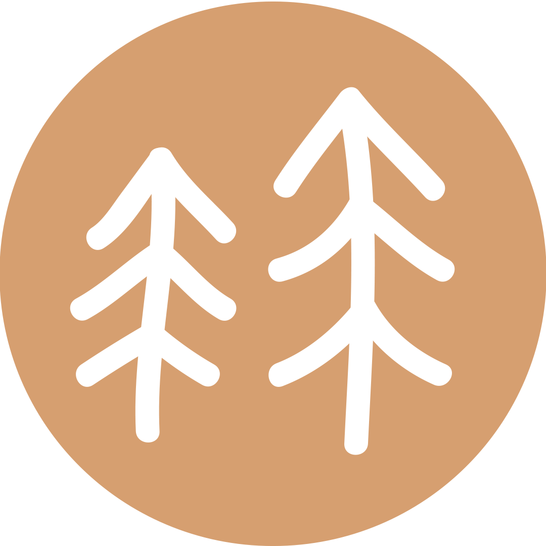 인스타 스토리 하이라이트