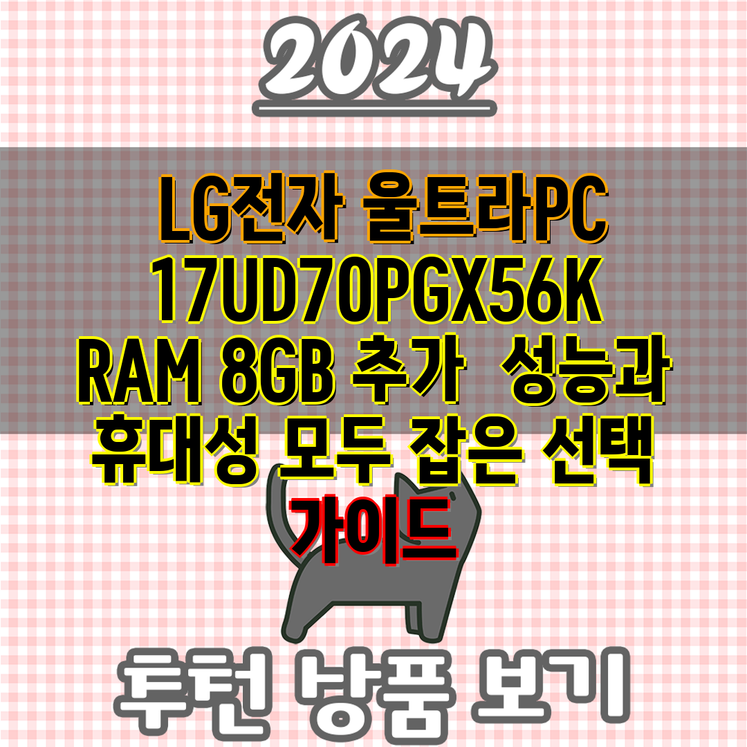  LG전자 울트라PC 17UD70PGX56K RAM 8