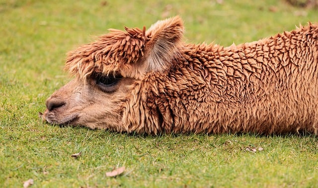 거북목 교정기: 제품 추천부터 효과와 사용법까지 완벽 정리