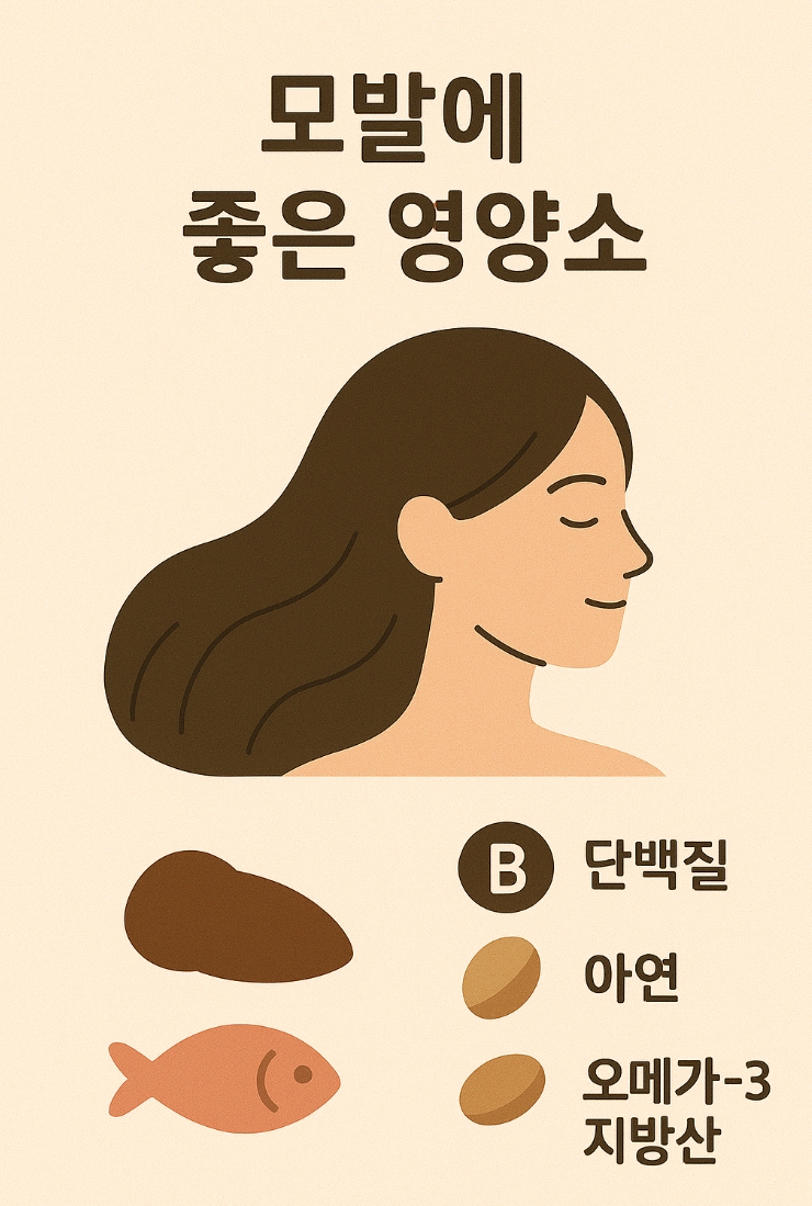 모발에 좋은 영양소