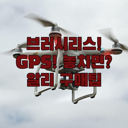 브러시리스 모터와 GPS 알리 입문용..