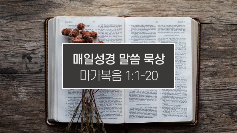 썸네일-성경책