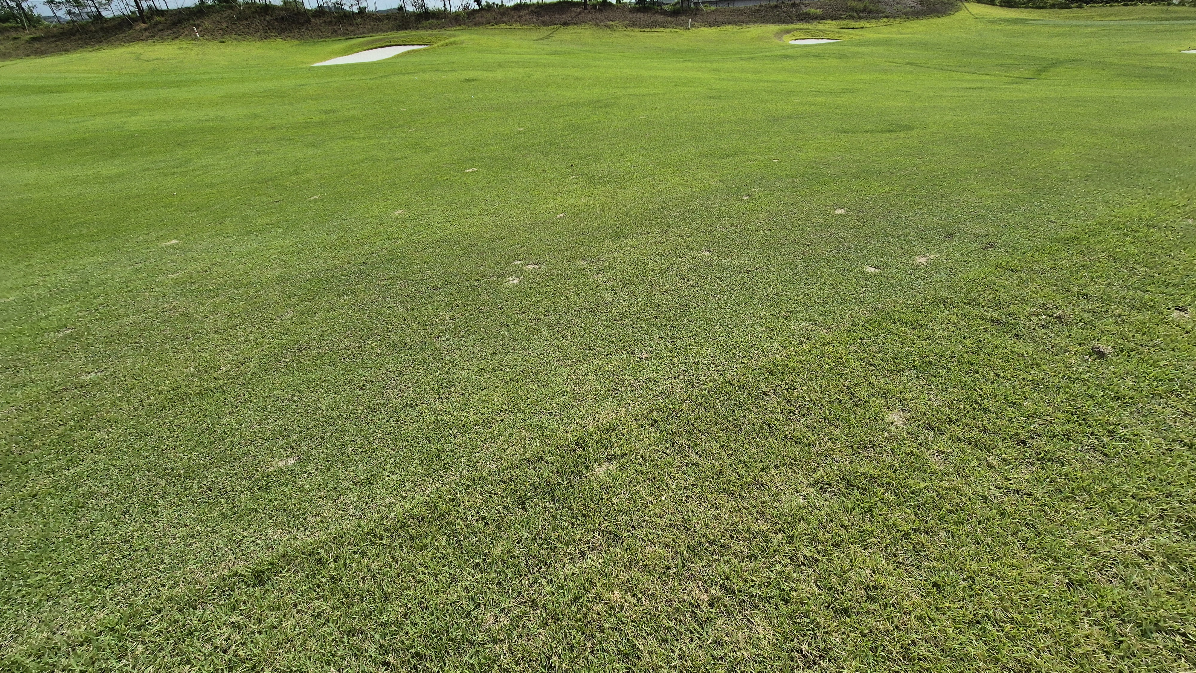 플라밍고cc 듄스-링크스 코스 라운드 후기