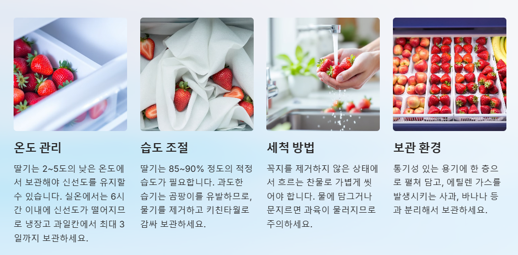 딸기 세척 보관 방법