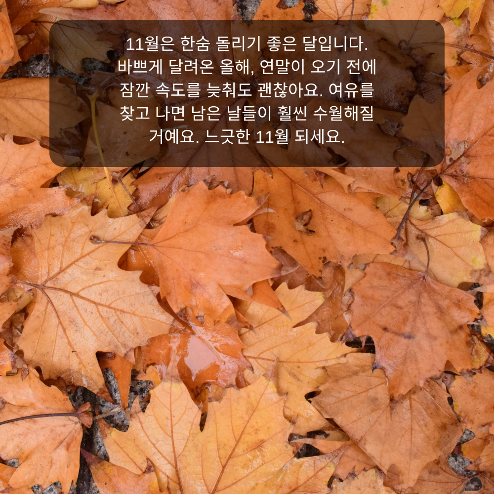 11월 인사말 16 한숨 돌리는 11월 여유 인사말 이미지