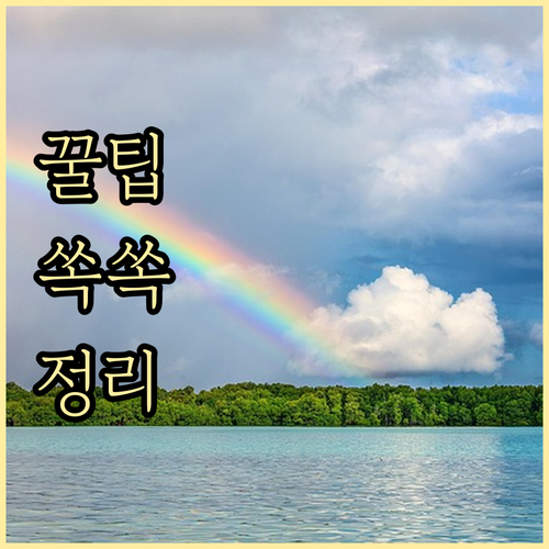 음식물쓰레기 대형폐기물 노고산동 올바..
