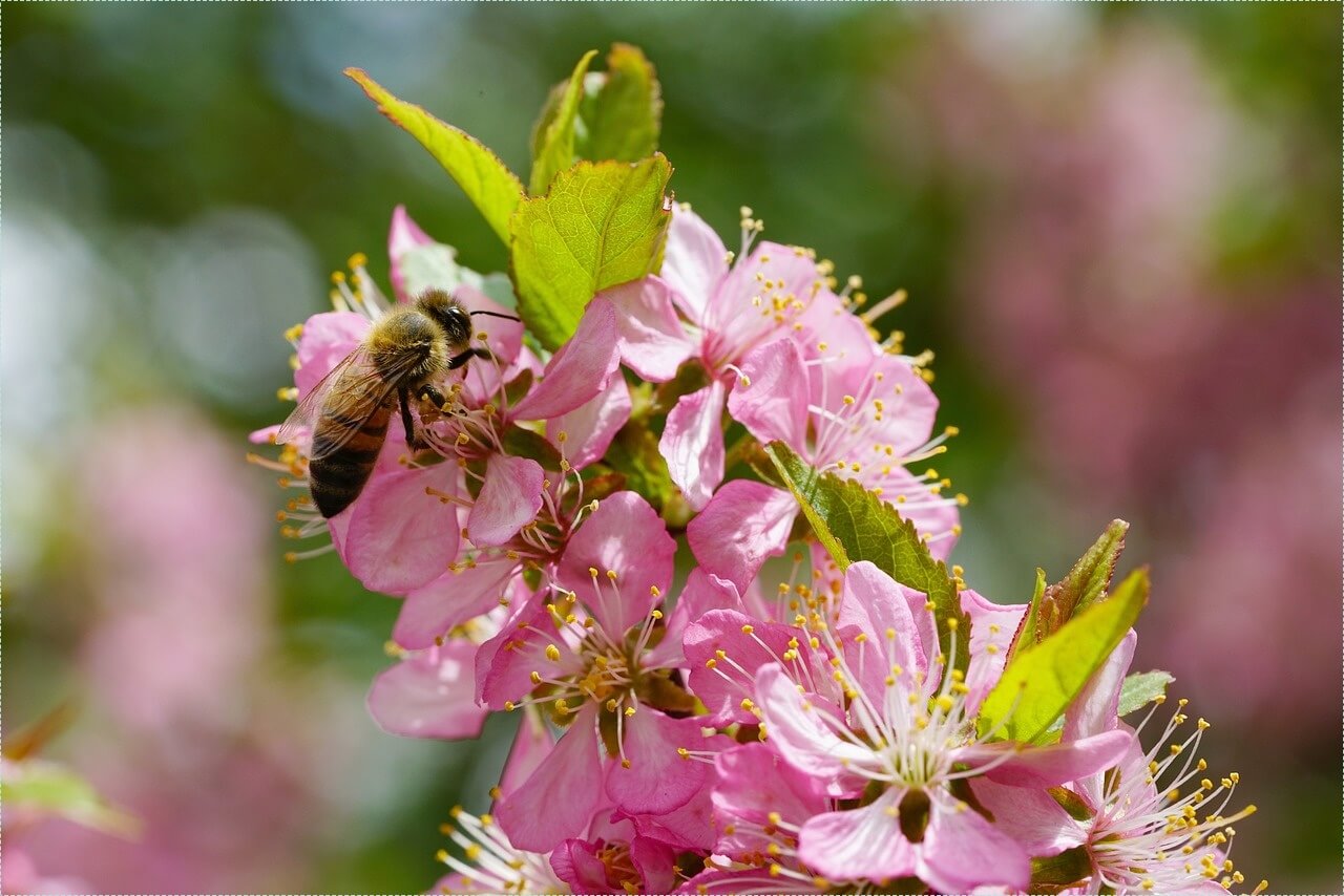 우리은행 정기예금 금리