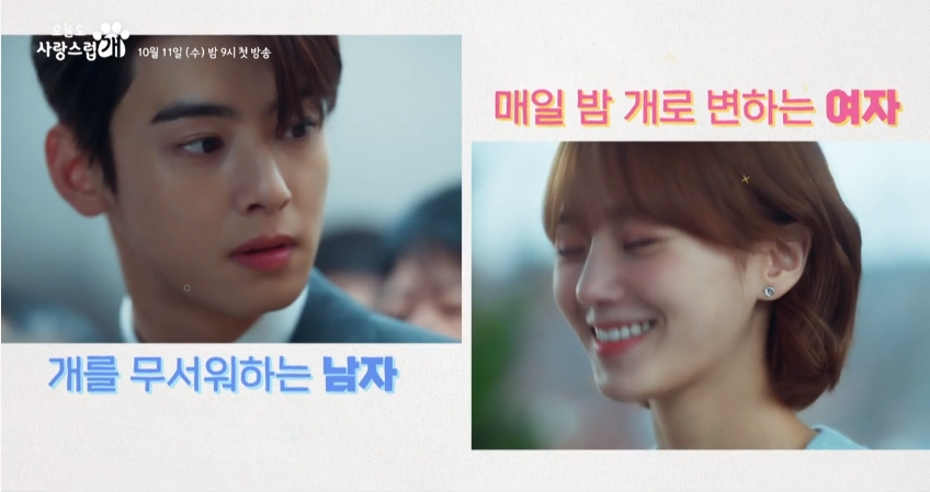 오늘도 사랑스럽개 정리