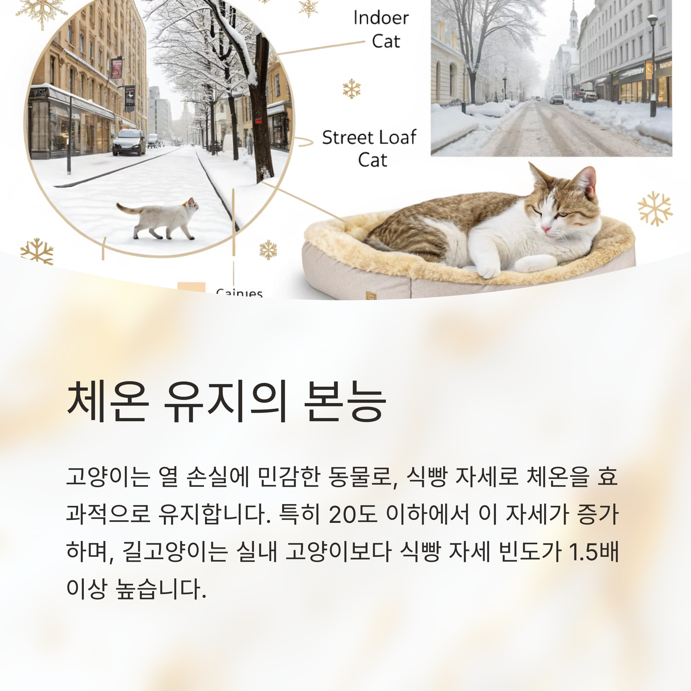 체온 유지의 본능