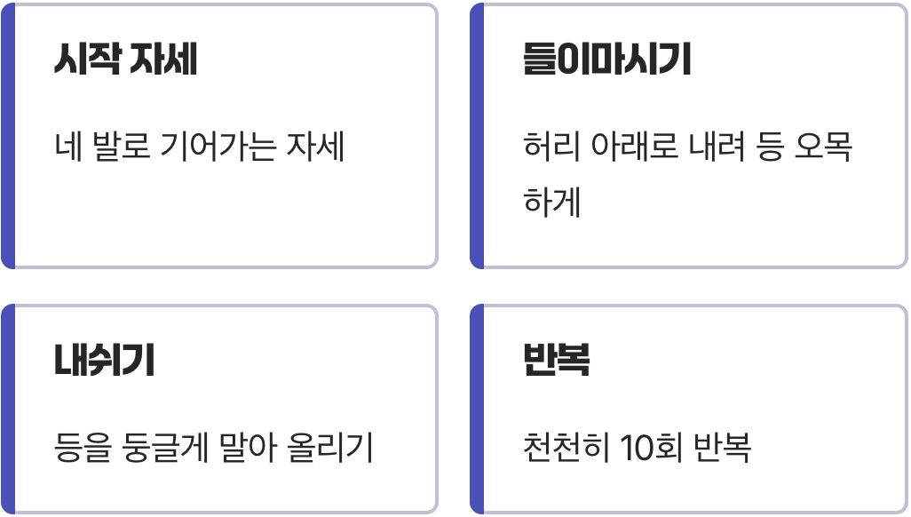 5분 투자로 등 살리는 스트레칭