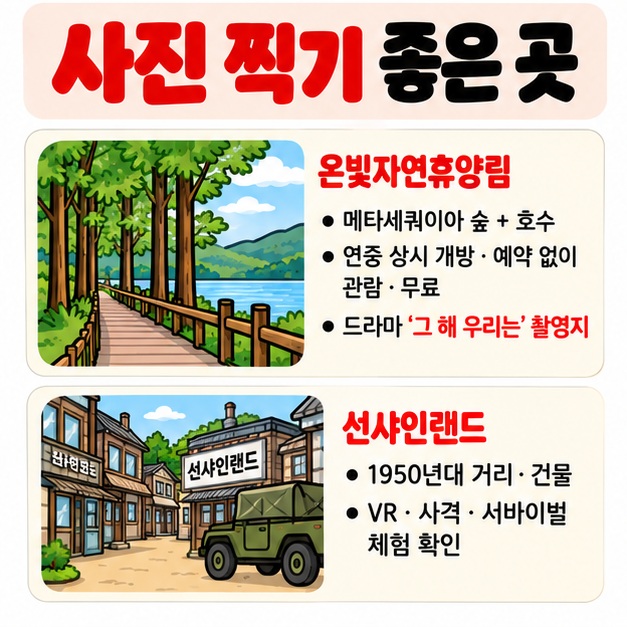 온빛자연휴양림 메타세쿼이아 숲과 선샤인랜드 1950 스튜디오를 논산 사진 명소로 소개하는 카드