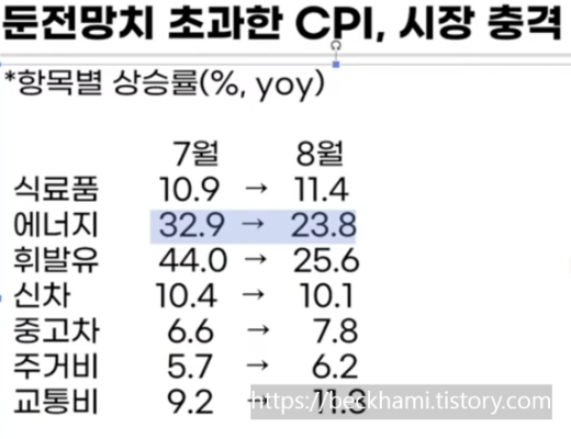 CPI-세부-내용