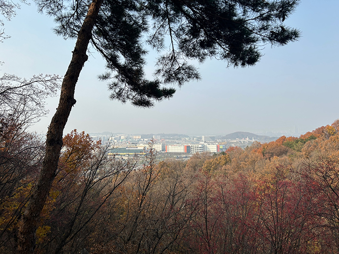 강서둘레길19