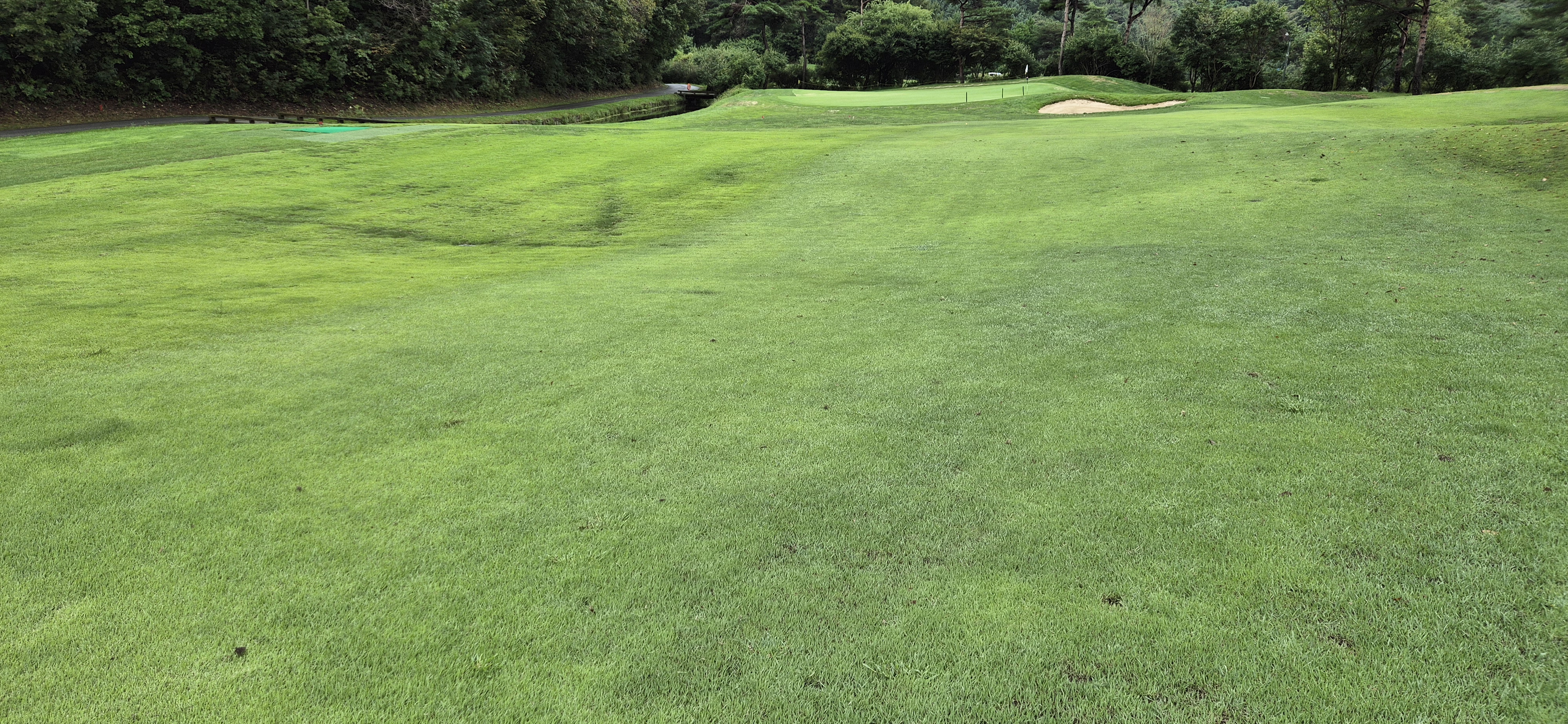 더플레이어스cc