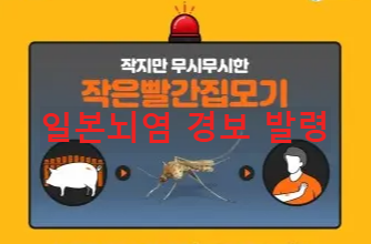 전국 일본뇌염 경보 발령 – 예방수칙 및 접종 권고사항