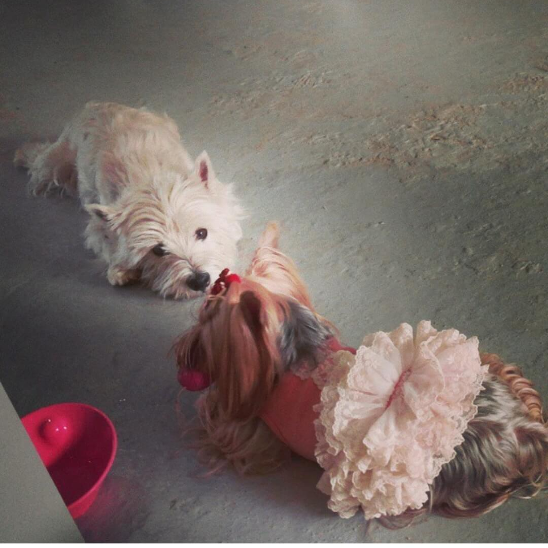 카카오 택배 집에서 보내기