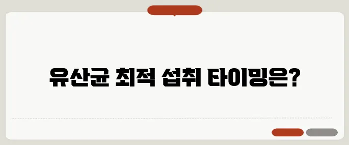 유산균 먹는시간 제대로 알아보기 공복일까 식후일까