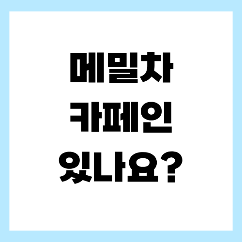 메밀차 카페인 있나요?