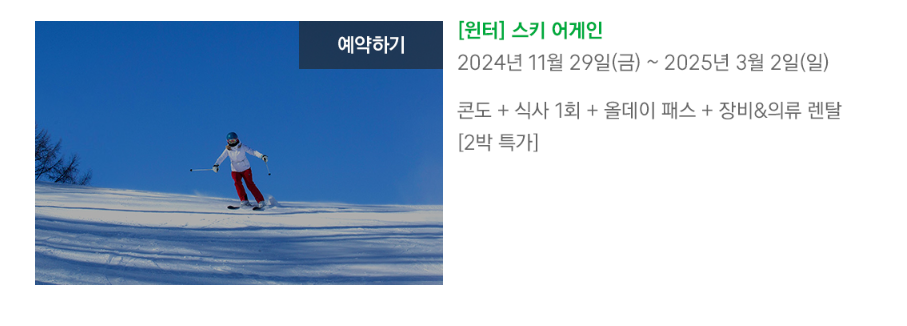 휘닉스파크 겨울축제