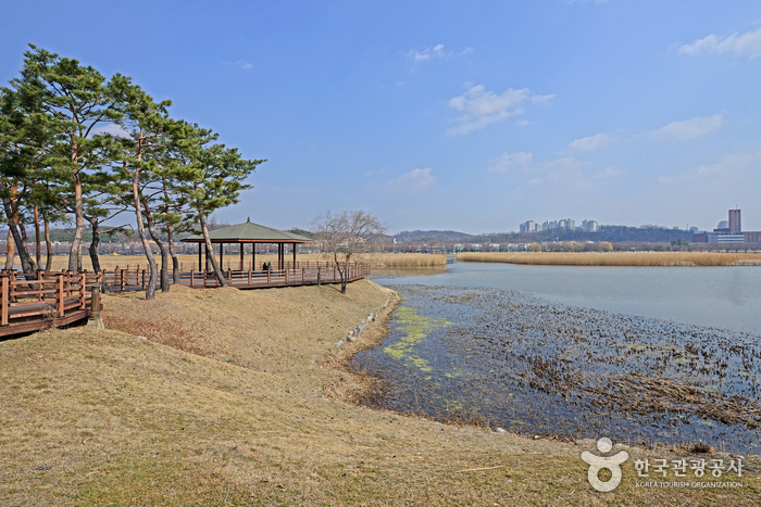 안산 가볼만한곳 베스트10