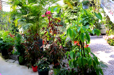 특색있고 아름다운 민간 정원 30선 추천 여행 - 25. 통영 동백커피식물원