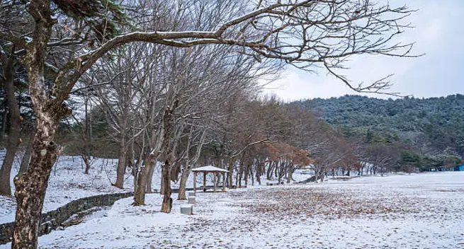 부여왕릉원