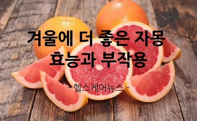 자몽 효능과 건강 효과_2