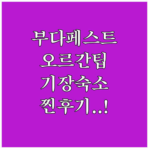 부다페스트 오르간 공연 관람 팁과 부..