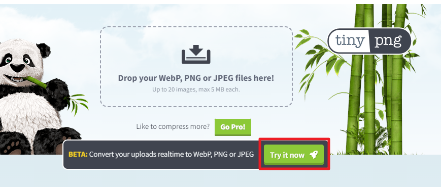 실시간 업데이트