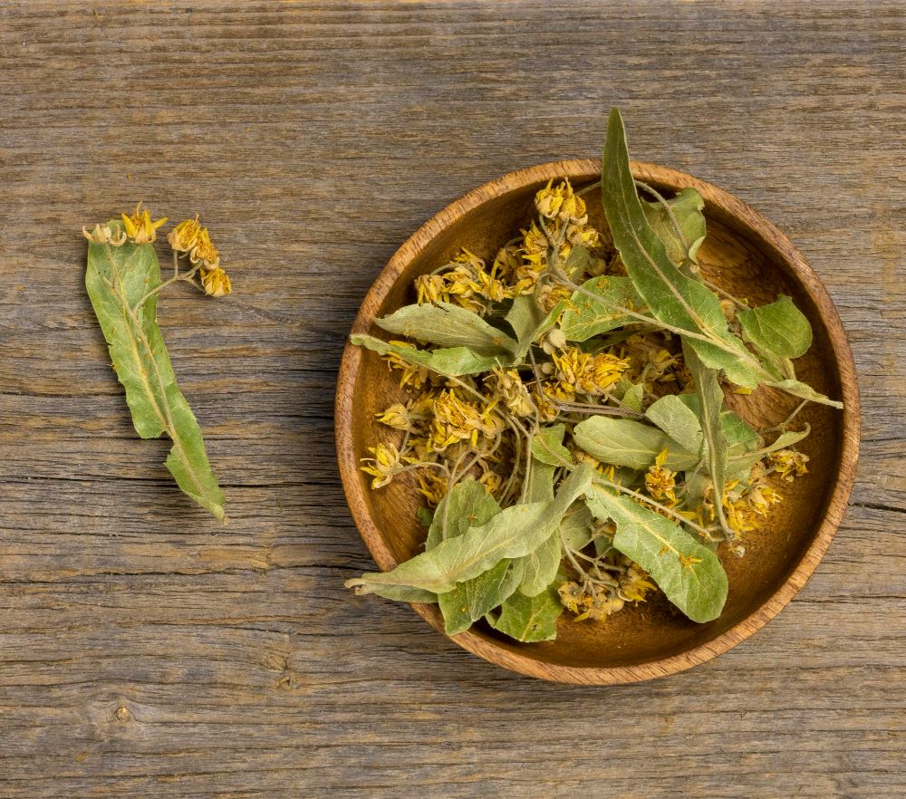 말린 골담초의 꽃과 잎