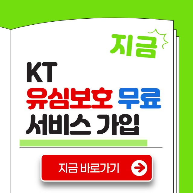 kt 유심보호 서비스