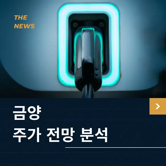 금양 주가 전망 및 분석