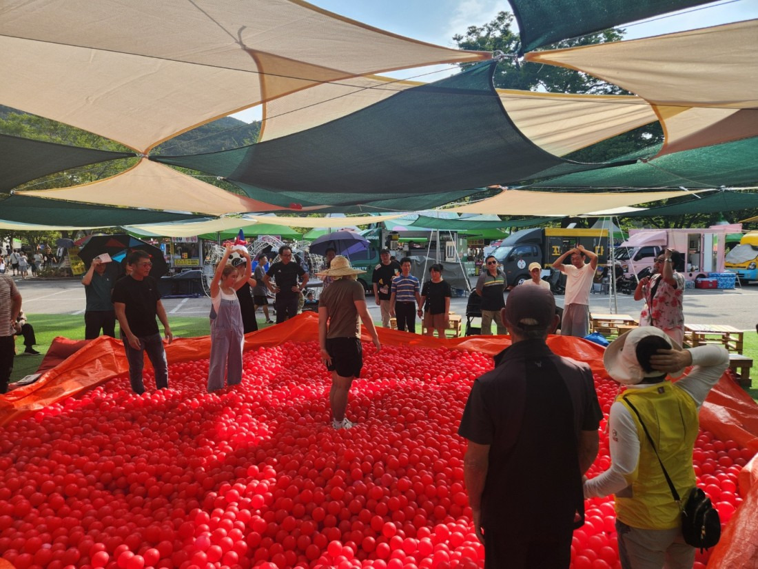 2025 영광불갑산상사화축제&amp;#44; 붉은 꽃무릇의 향연! 
