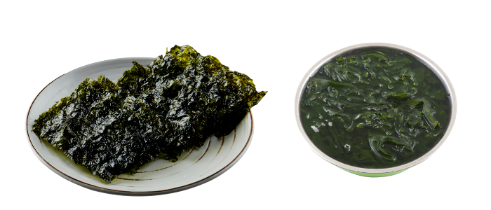 해조류 이미지