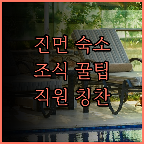 홈 풀 호텔 조식과 친절한 직원들의