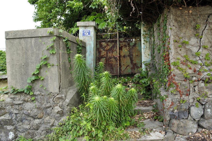 동삼1구역 재개발 지역