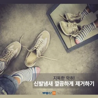 신발 악취 제거 베이킹소다 숯 햇볕 통풍 신발장 만들기_6