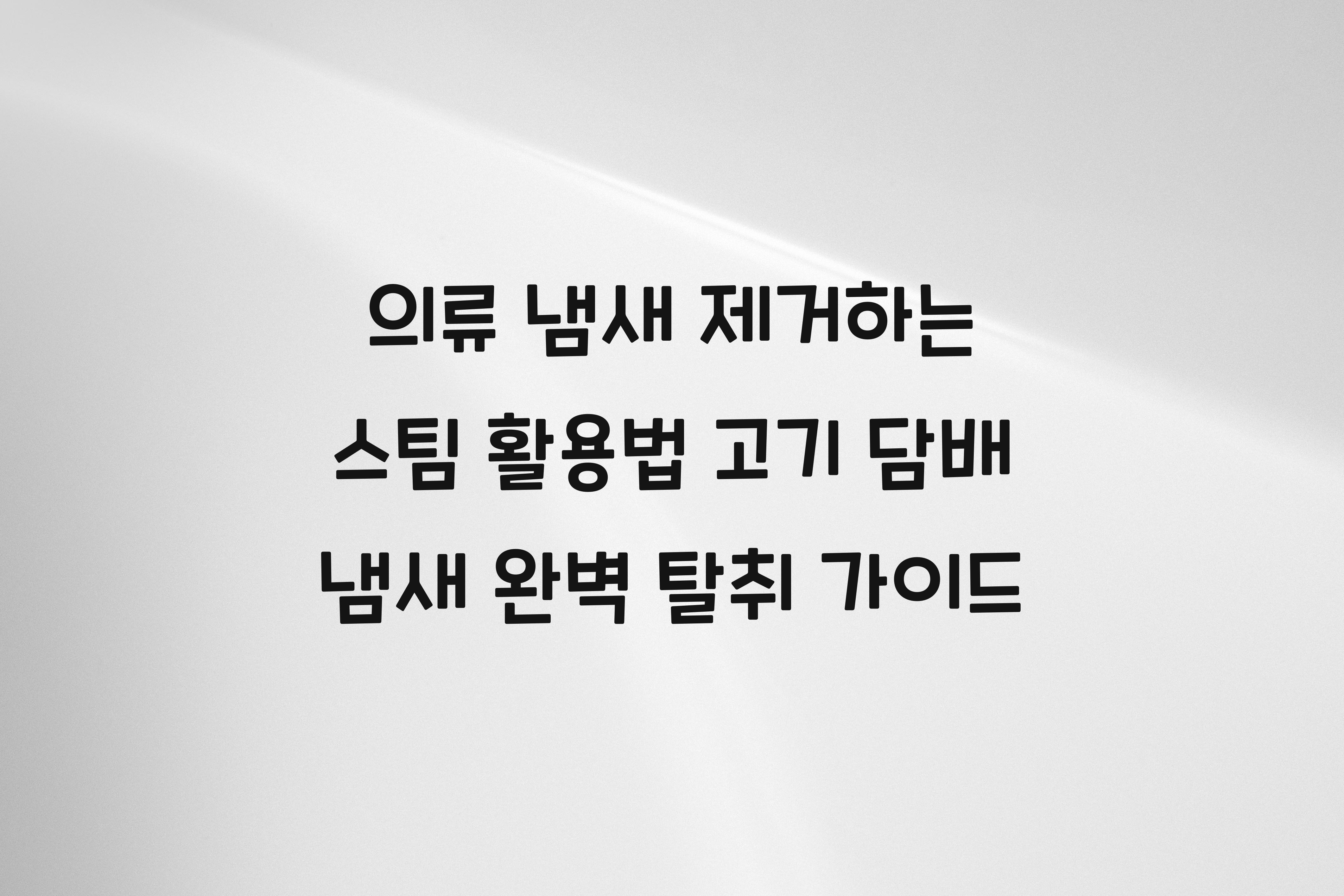 의류 냄새 제거하는 스팀 활용법