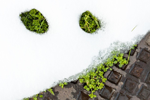 변화 비교에 관한 이미지