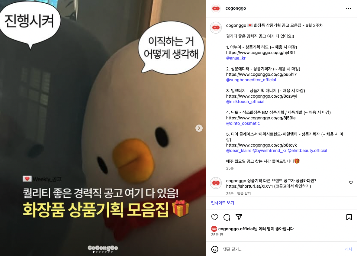 위클리 코공고 인스타그램