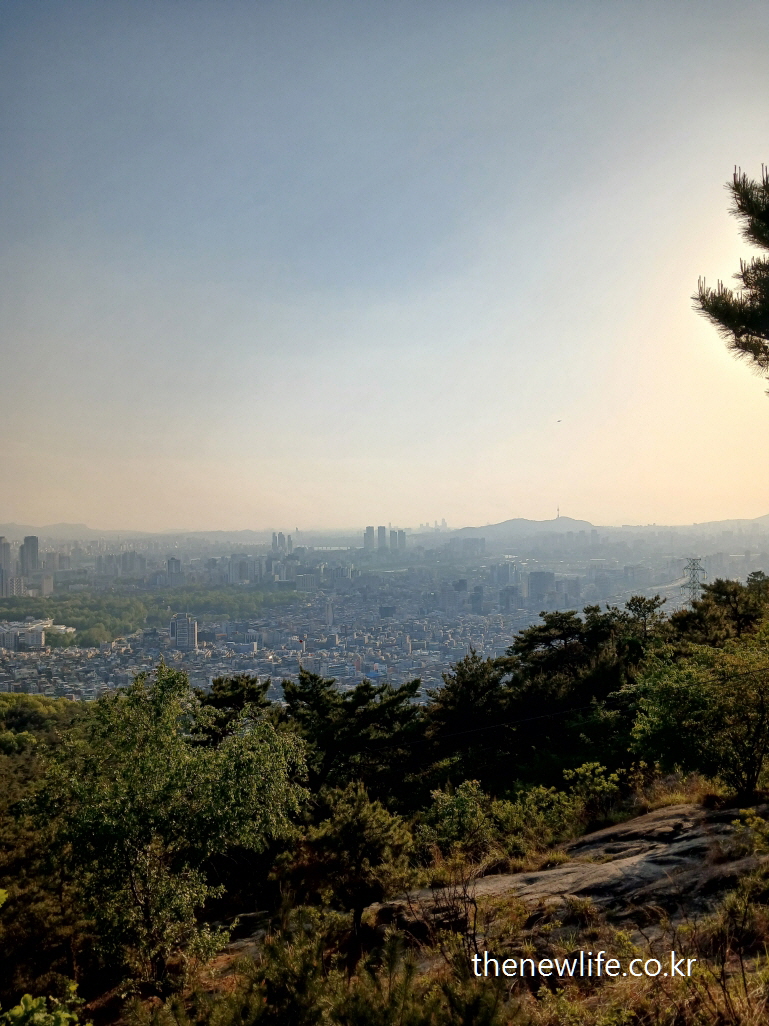 Sunset-lit cityscape and forest from Achasan peak- 해질녘 빛이 스며든 서울 전경과 아차산 숲