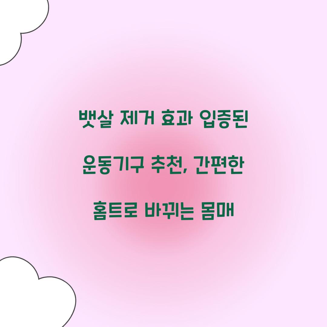 뱃살 제거 효과 입증된 운동기구 추천