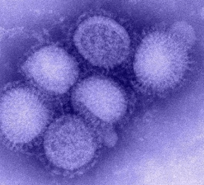 인플루엔자-무료 예방접종-시기-예약-가격-65세이상-어린이-임산부