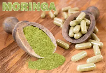 모링가 효능 및 영양성분, 주의점