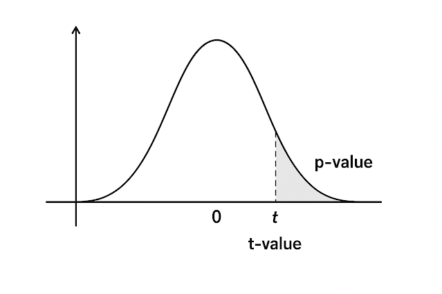 독립표본 t검정