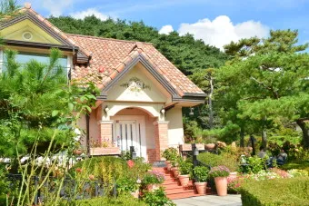 양평 가볼만한곳 베스트10 두물머리 연잎핫도그_24