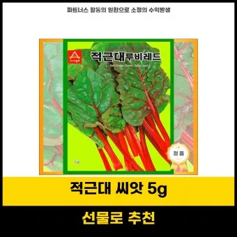 적근대 재배 씨 뿌림 솎음 수확 색 유지_3